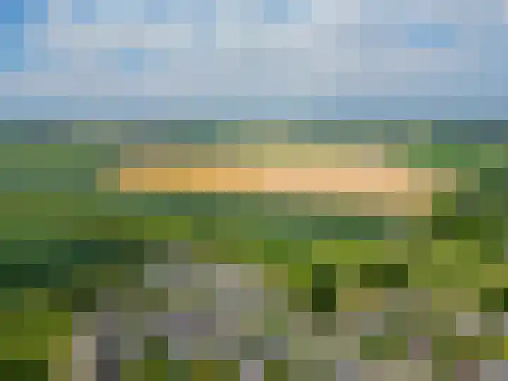 Paardenbloem 7 Zevenbergen thumbnail 51