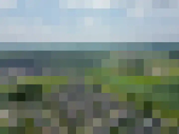 Paardenbloem 7 Zevenbergen thumbnail 52