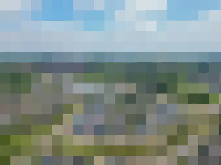 Paardenbloem 7 Zevenbergen thumbnail 53