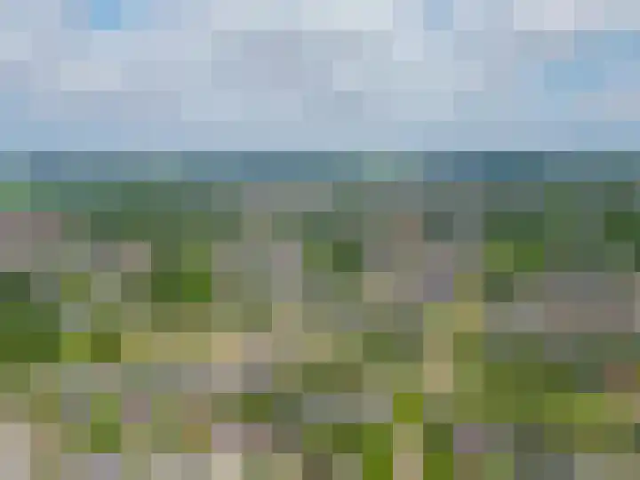 Paardenbloem 7 Zevenbergen thumbnail 54