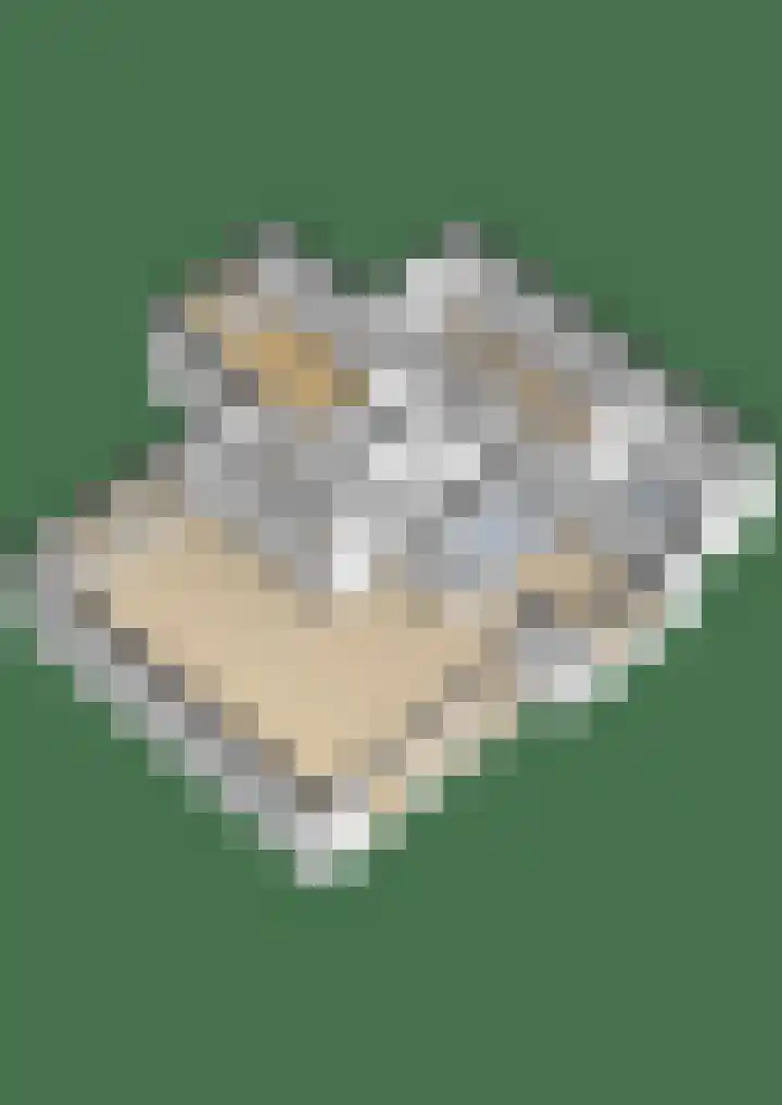 Paardenbloem 7 Zevenbergen thumbnail 56