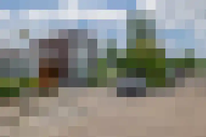 Paardenbloem 7 Zevenbergen thumbnail 63