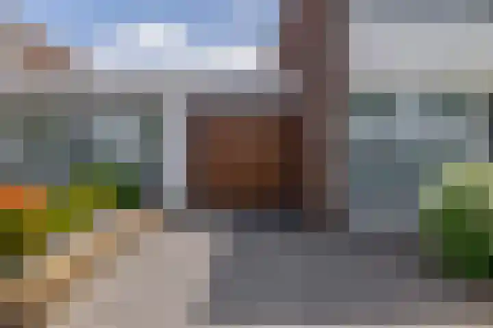 Paardenbloem 7 Zevenbergen thumbnail 8