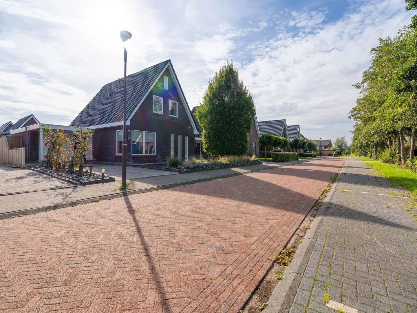 Paardenbloem 8 in Drachten