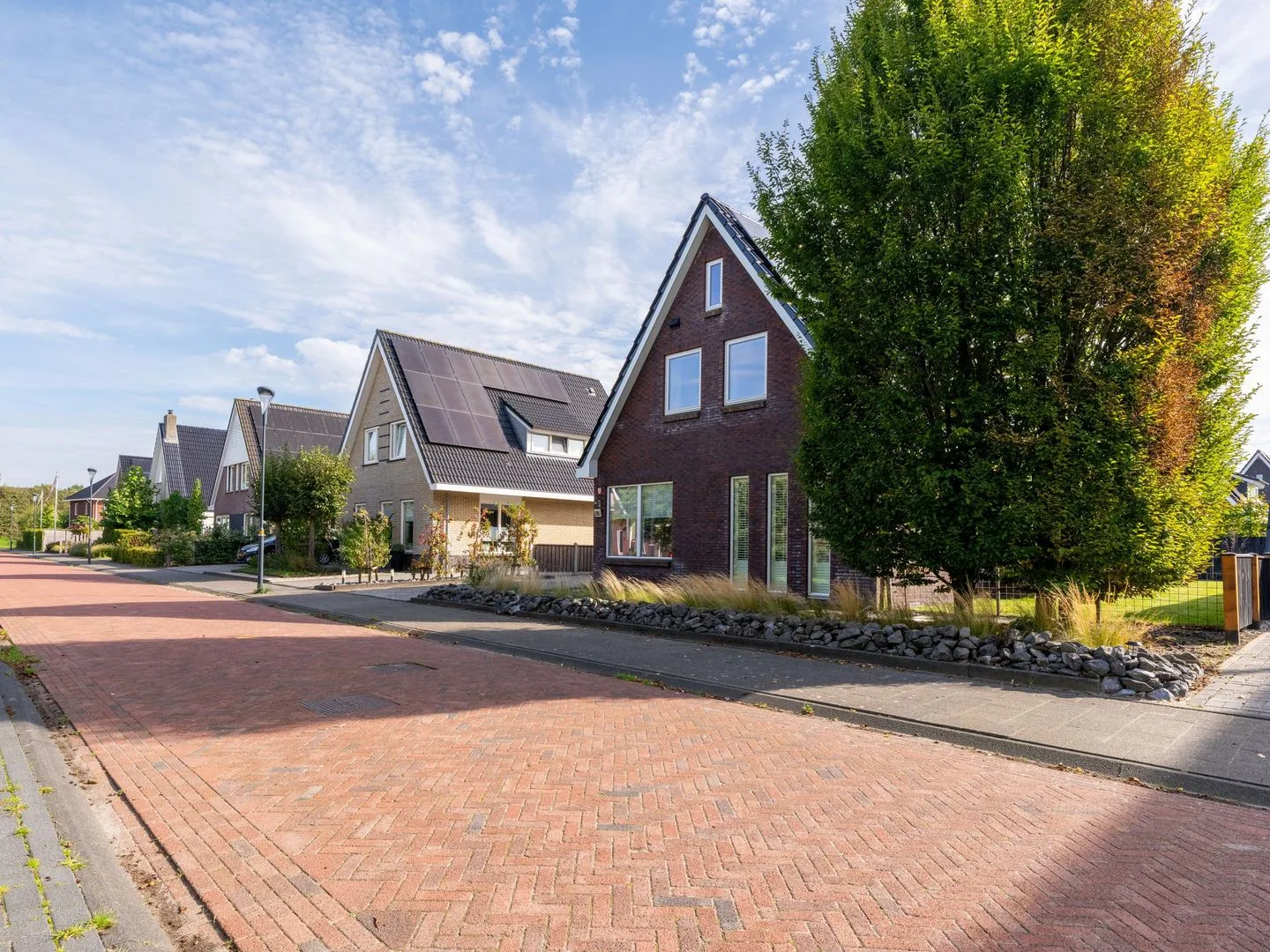 Paardenbloem 8 Drachten thumbnail 38