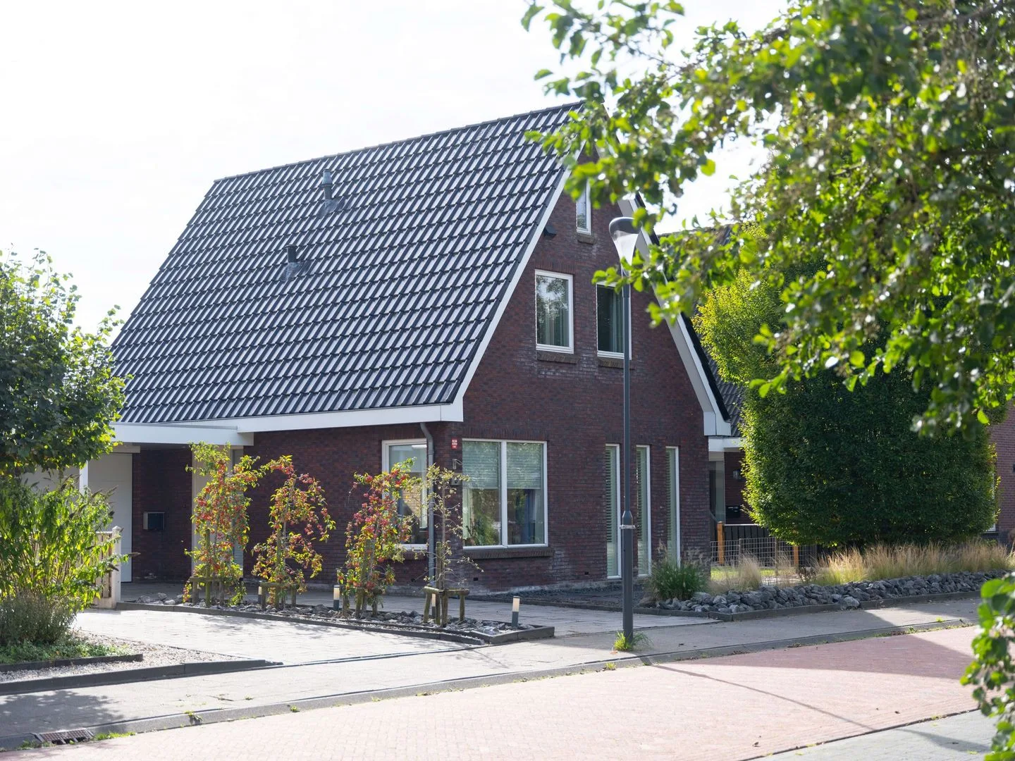 Paardenbloem 8 Drachten thumbnail 7