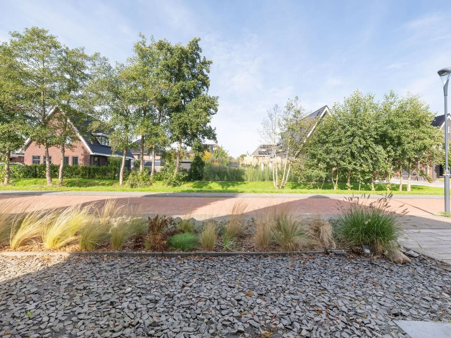 Paardenbloem 8 Drachten thumbnail 9