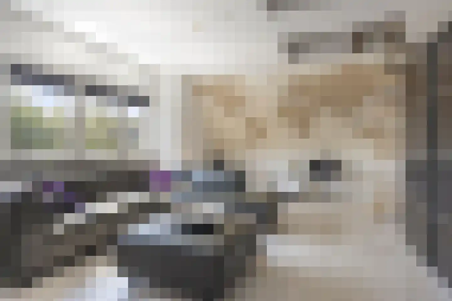 Paardenbloemdreef 23 Harderwijk thumbnail 27