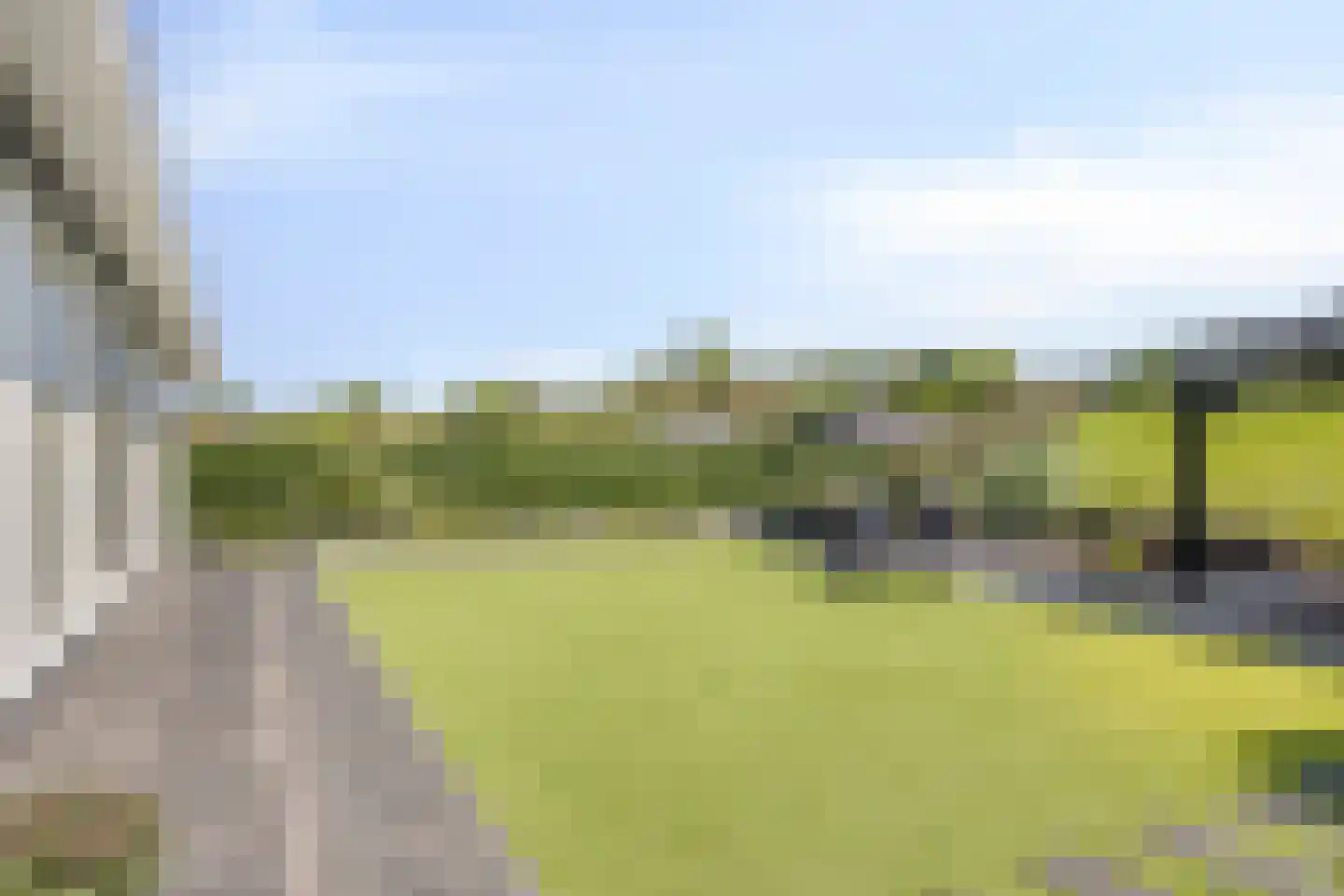 Paardenbloemdreef 23 Harderwijk thumbnail 48