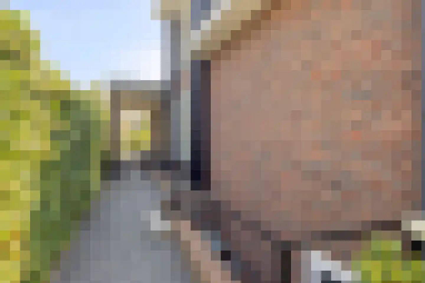 Paardenbloemdreef 23 Harderwijk thumbnail 58