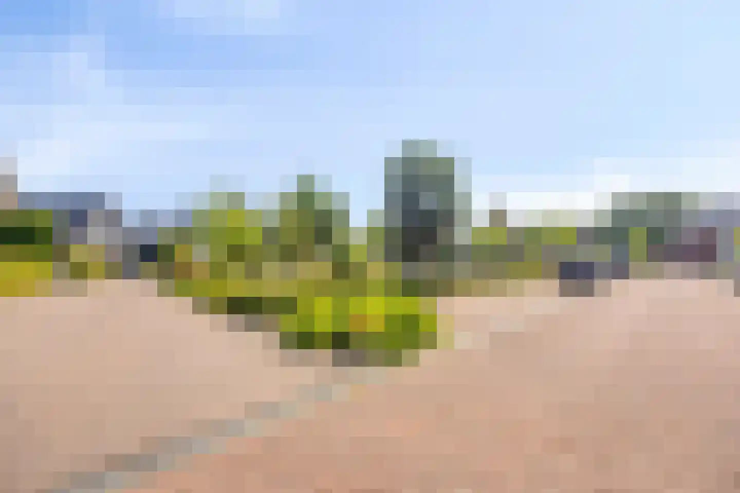 Paardenbloemdreef 23 Harderwijk thumbnail 64