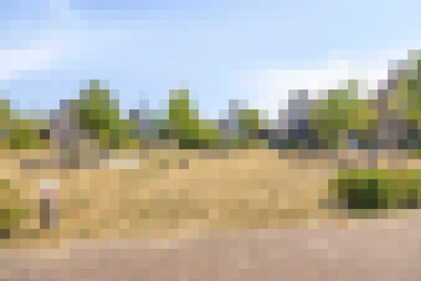 Paardenbloemdreef 23 Harderwijk thumbnail 65