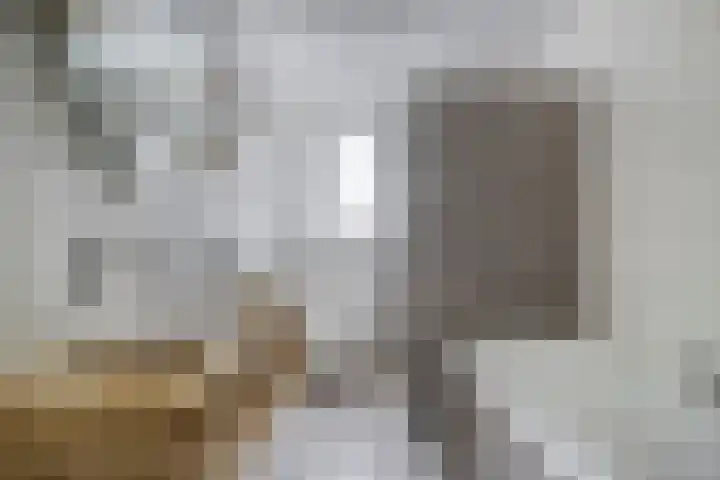 Paardenbloemdreef 55 Harderwijk thumbnail 17