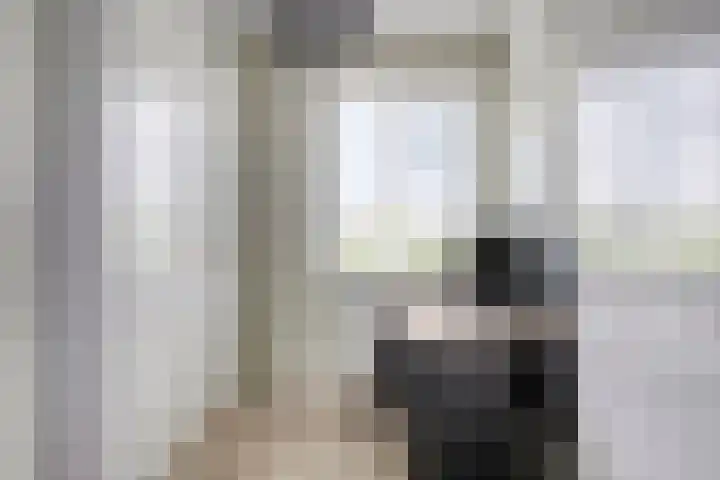 Paardenbloemdreef 55 Harderwijk thumbnail 23