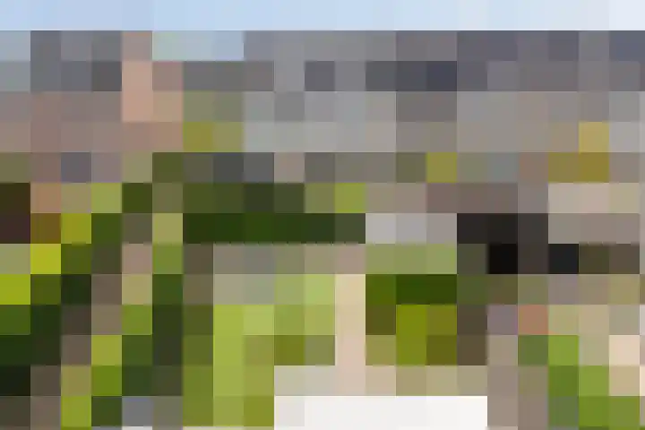 Paardenbloemdreef 55 Harderwijk thumbnail 28