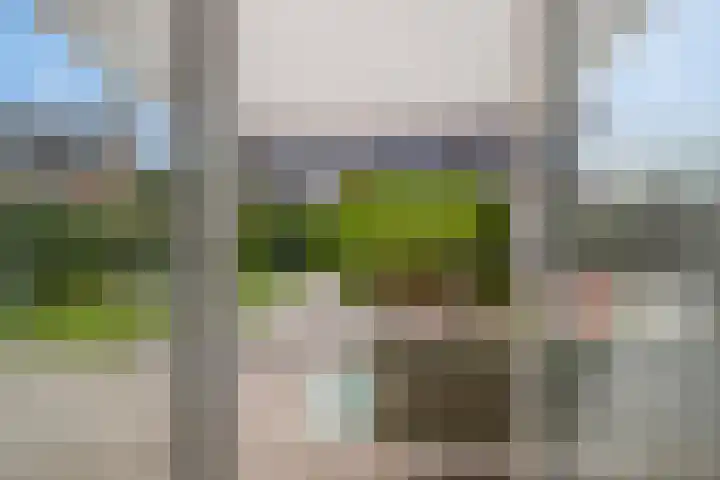 Paardenbloemdreef 55 Harderwijk thumbnail 30