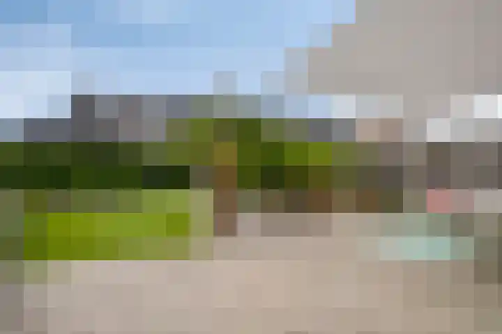 Paardenbloemdreef 55 Harderwijk thumbnail 31