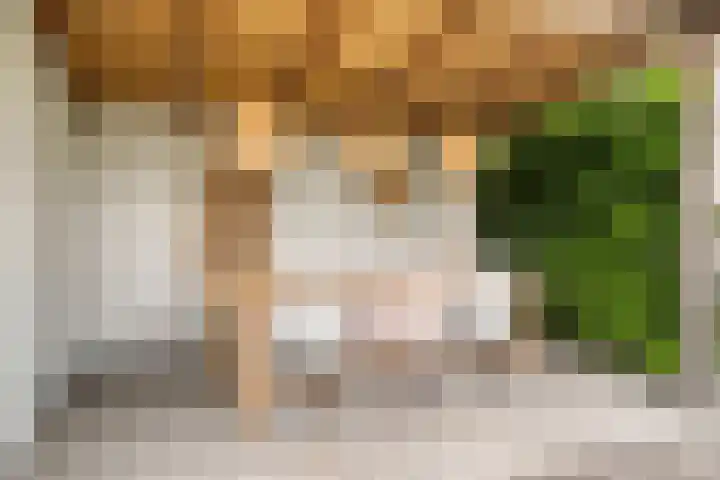 Paardenbloemdreef 55 Harderwijk thumbnail 33