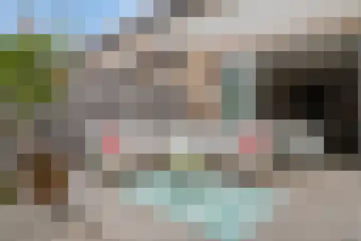 Paardenbloemdreef 55 Harderwijk thumbnail 34