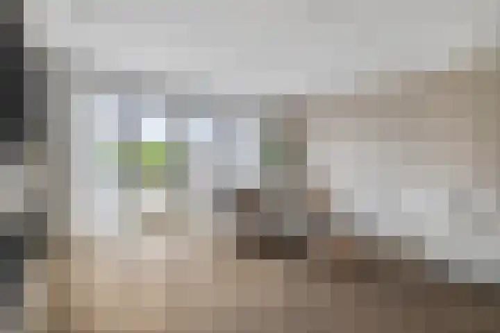 Paardenbloemdreef 55 Harderwijk thumbnail 7