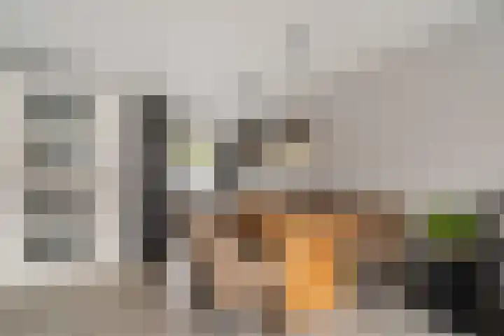 Paardenbloemdreef 61 Harderwijk thumbnail 11