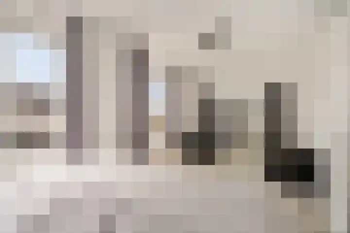 Paardenbloemdreef 61 Harderwijk thumbnail 20