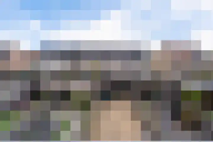 Paardenbloemdreef 61 Harderwijk thumbnail 33