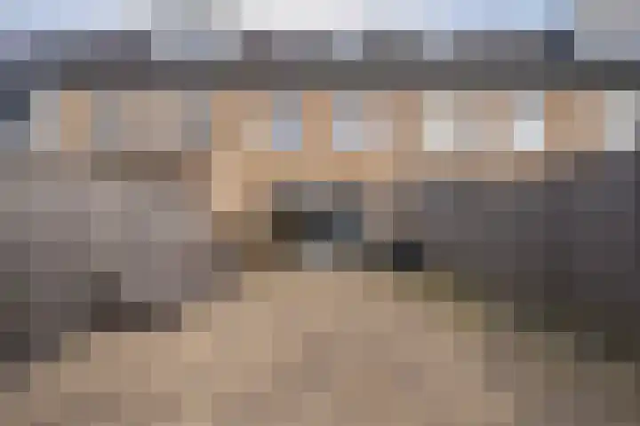 Paardenbloemdreef 61 Harderwijk thumbnail 35