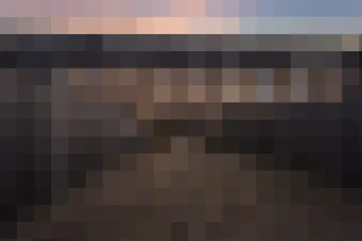 Paardenbloemdreef 61 Harderwijk thumbnail 36