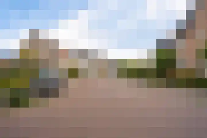 Paardenbloemdreef 61 Harderwijk thumbnail 37