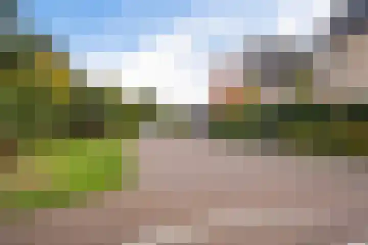 Paardenbloemdreef 61 Harderwijk thumbnail 38