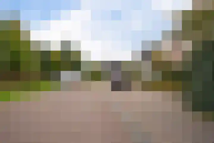 Paardenbloemdreef 61 Harderwijk thumbnail 39