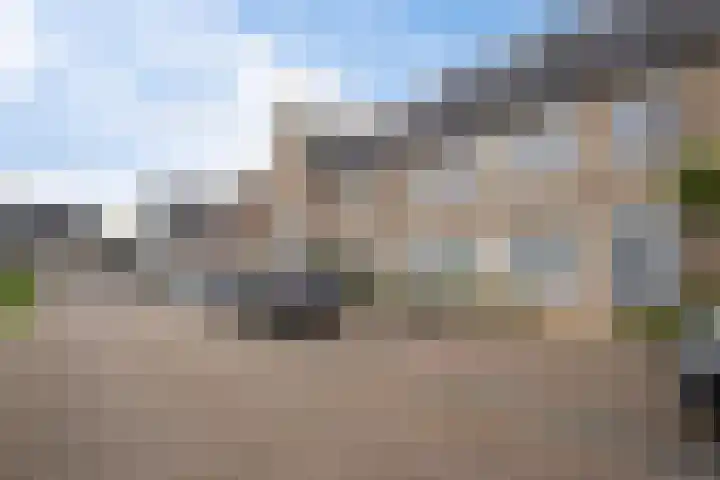 Paardenbloemdreef 61 Harderwijk thumbnail 6