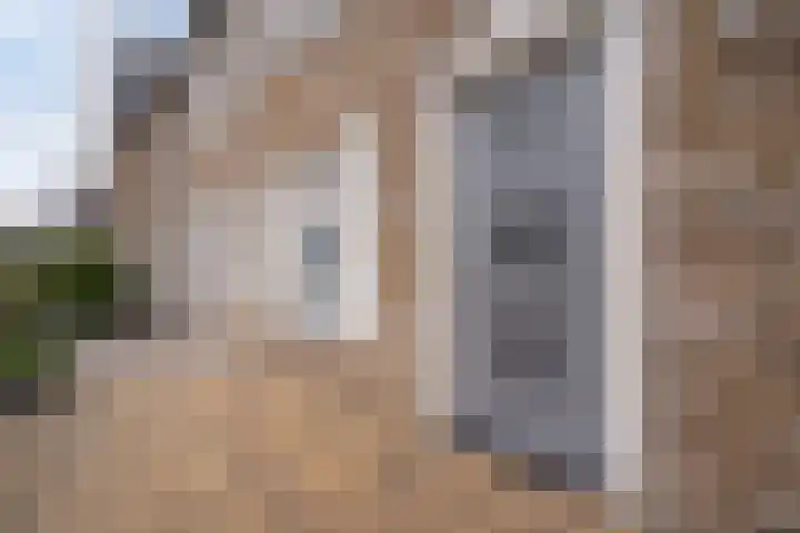 Paardenbloemdreef 61 Harderwijk thumbnail 7