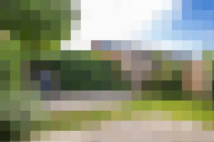 Paardenbloemsingel 23 Vleuten thumbnail 18