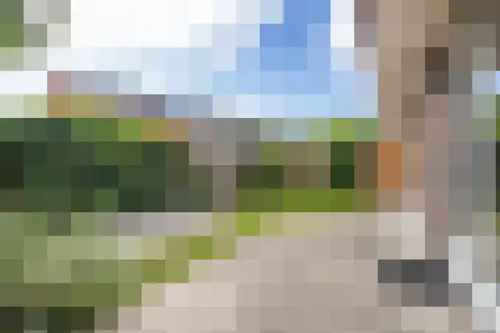 Paardenbloemsingel 23 Vleuten thumbnail 19