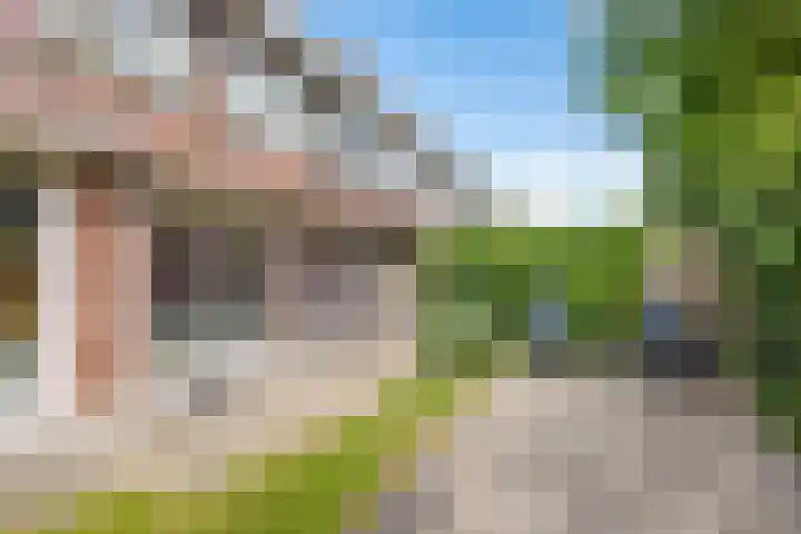 Paardenbloemsingel 23 Vleuten thumbnail 20