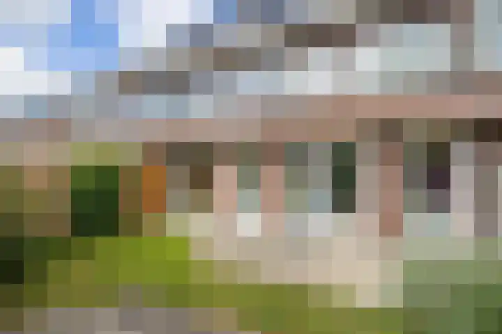 Paardenbloemsingel 23 Vleuten thumbnail 21