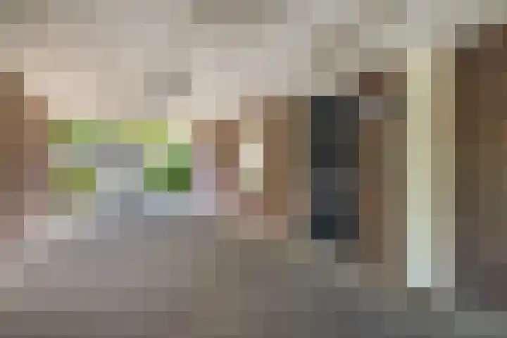 Paardenbloemsingel 23 Vleuten thumbnail 22