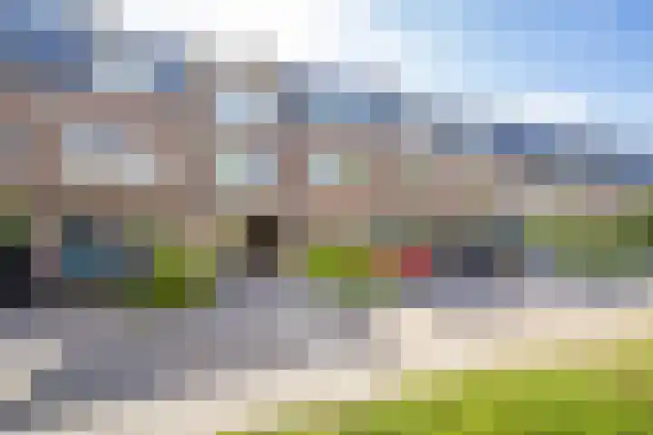 Paardenbloemsingel 23 Vleuten thumbnail 26