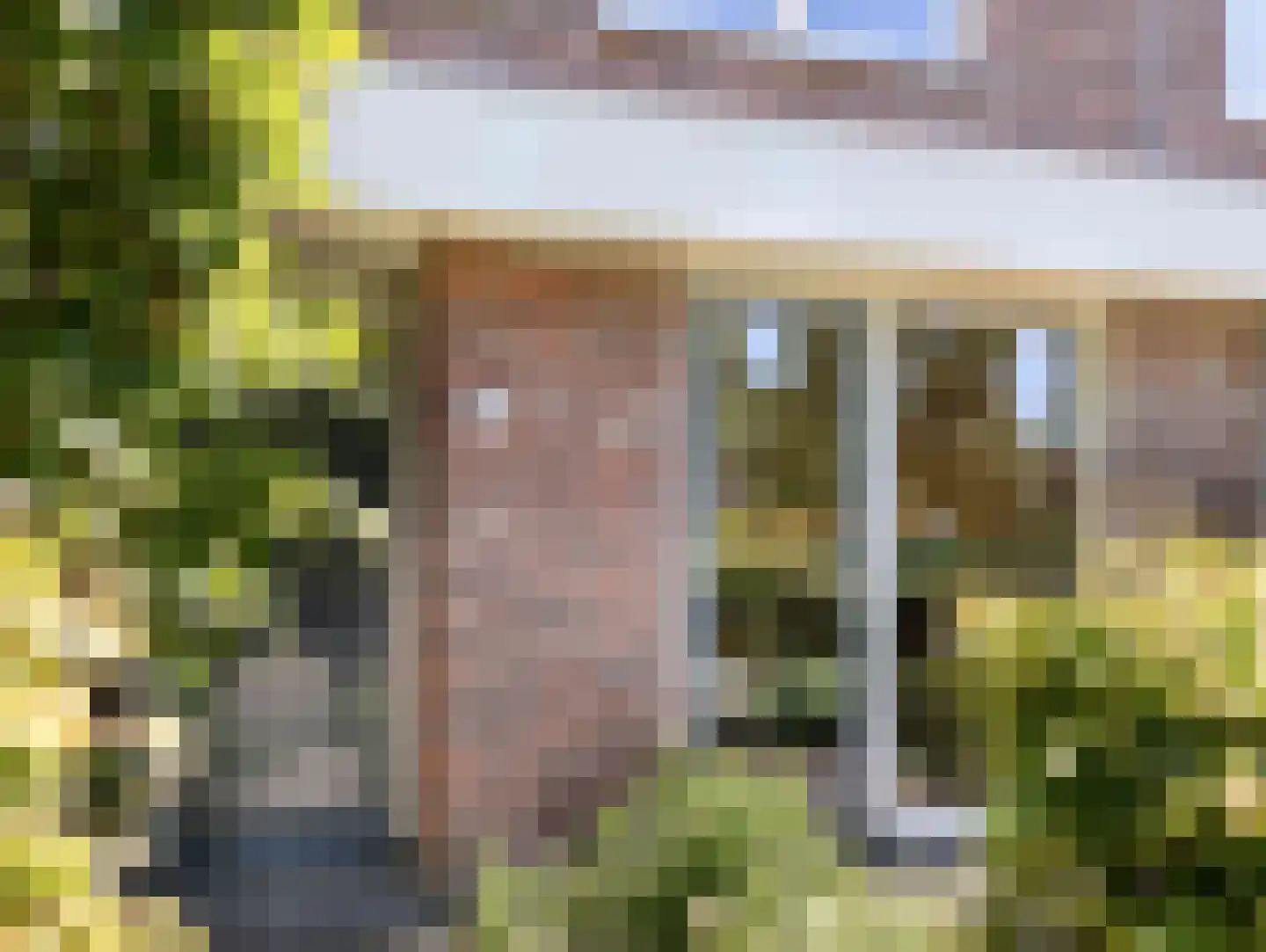 Paardenbloemsingel 52 Vleuten thumbnail 4