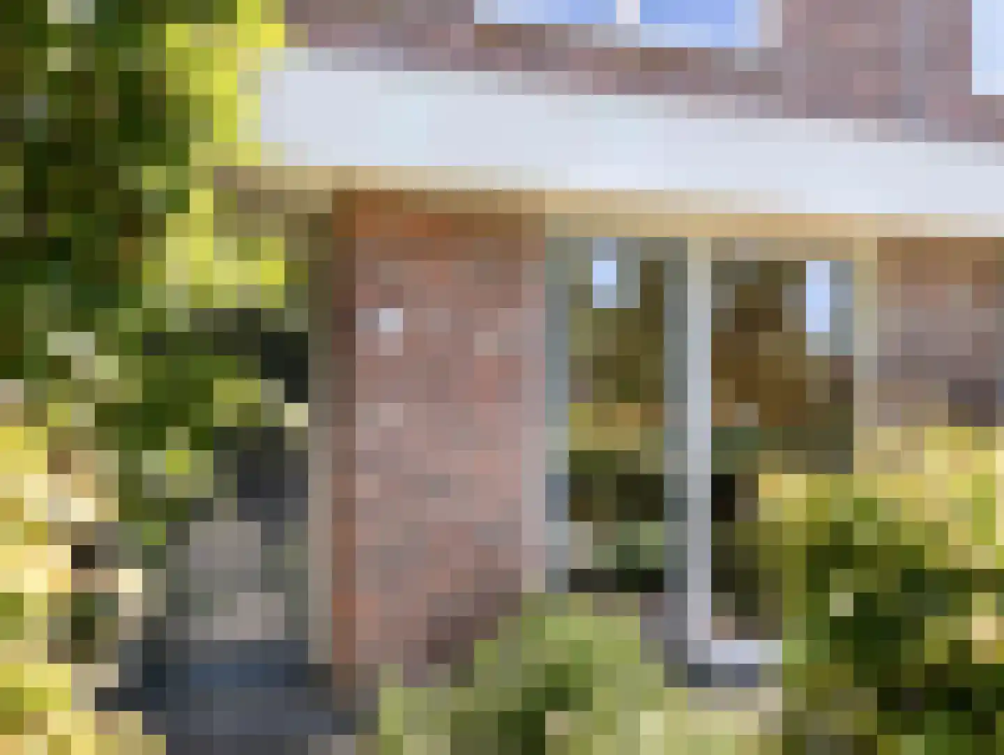 Paardenbloemsingel 52 Vleuten thumbnail 4