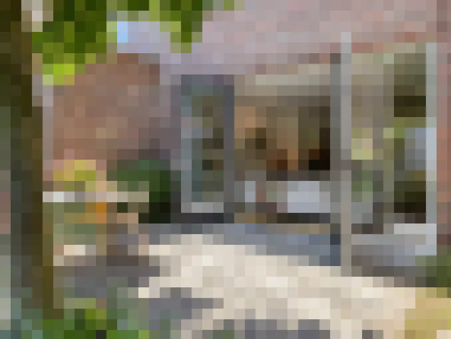 Paardenbloemsingel 52 Vleuten thumbnail 43