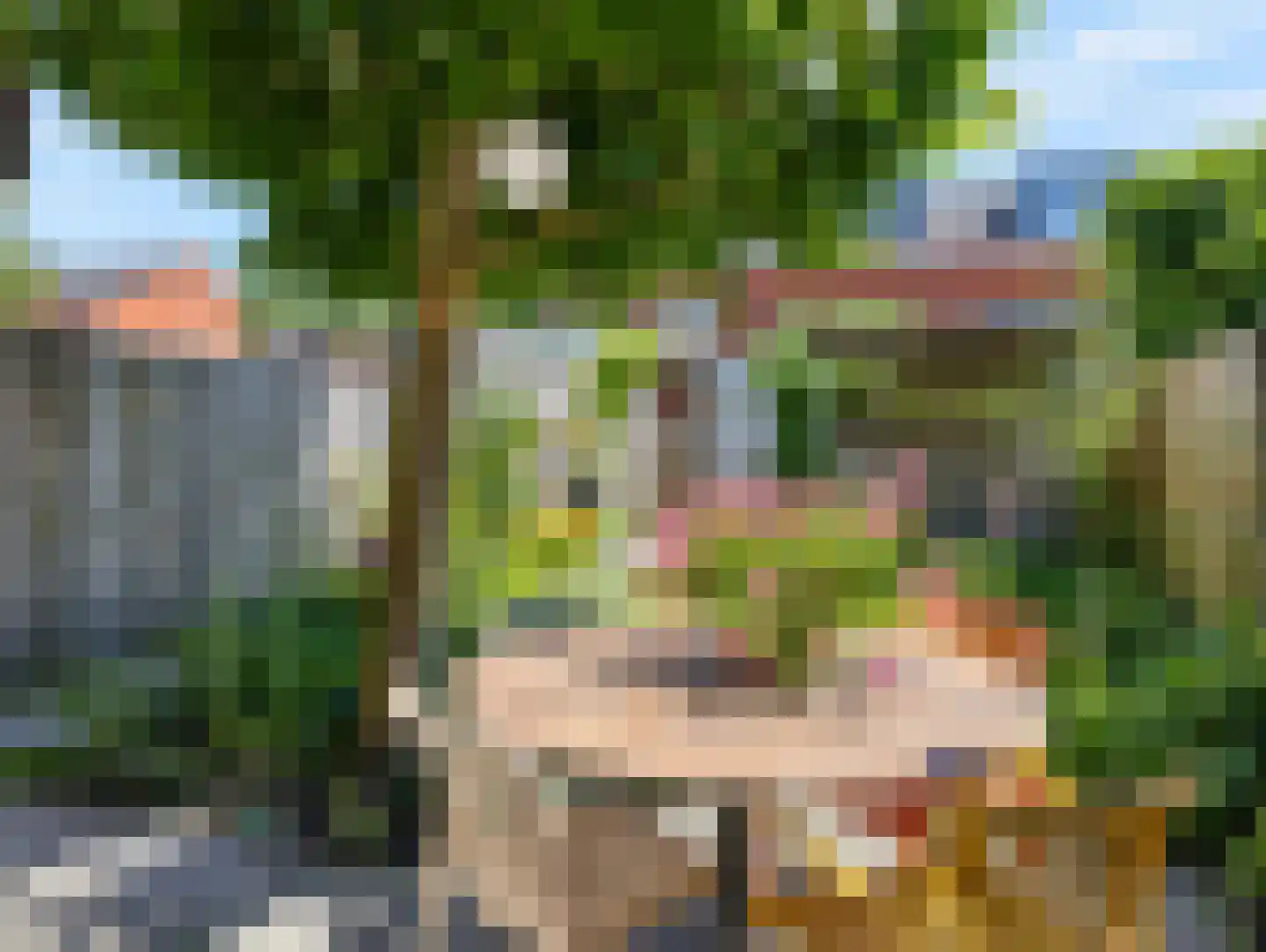 Paardenbloemsingel 52 Vleuten thumbnail 45