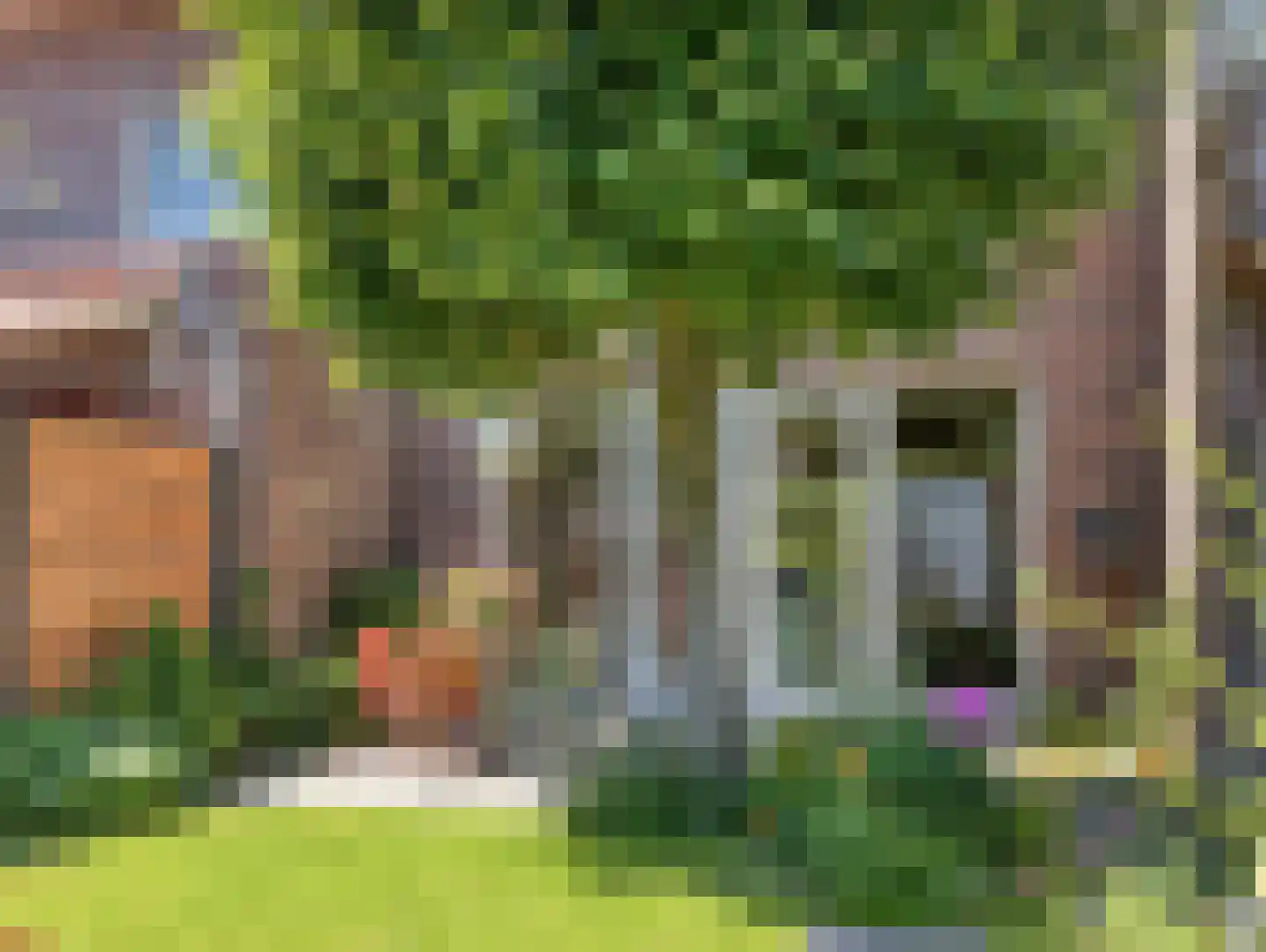 Paardenbloemsingel 52 Vleuten thumbnail 51