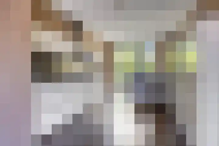 Paardenbloemsingel 61 Vleuten thumbnail 10