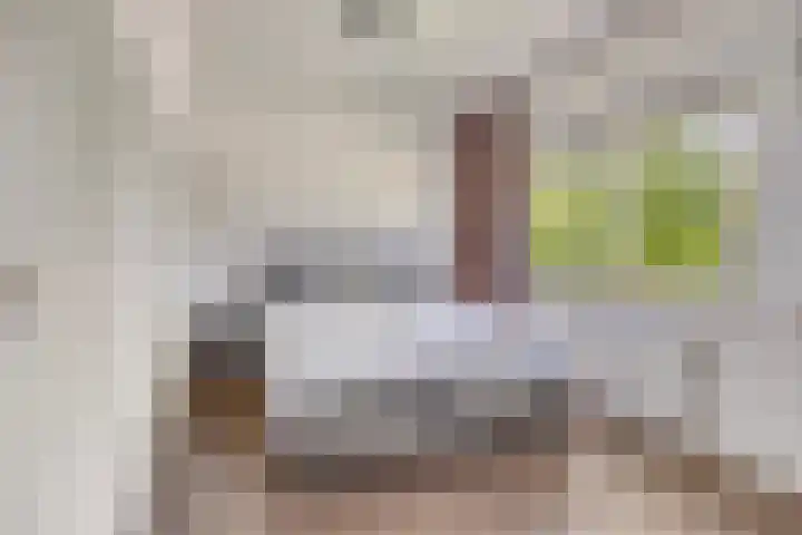 Paardenbloemsingel 61 Vleuten thumbnail 13
