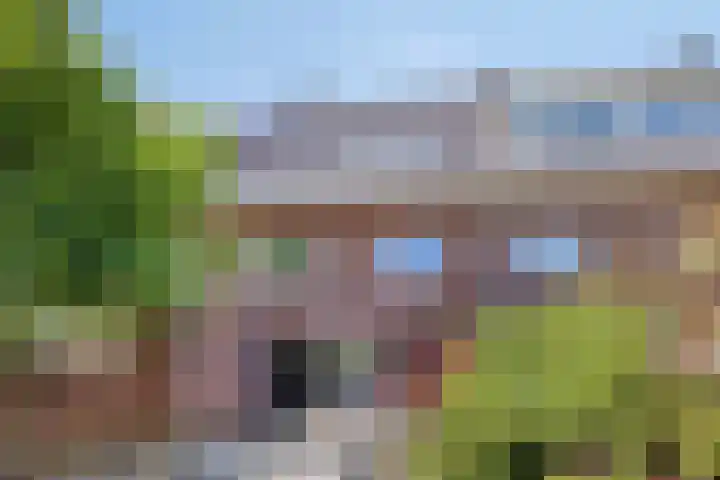 Paardenbloemsingel 61 Vleuten thumbnail 25