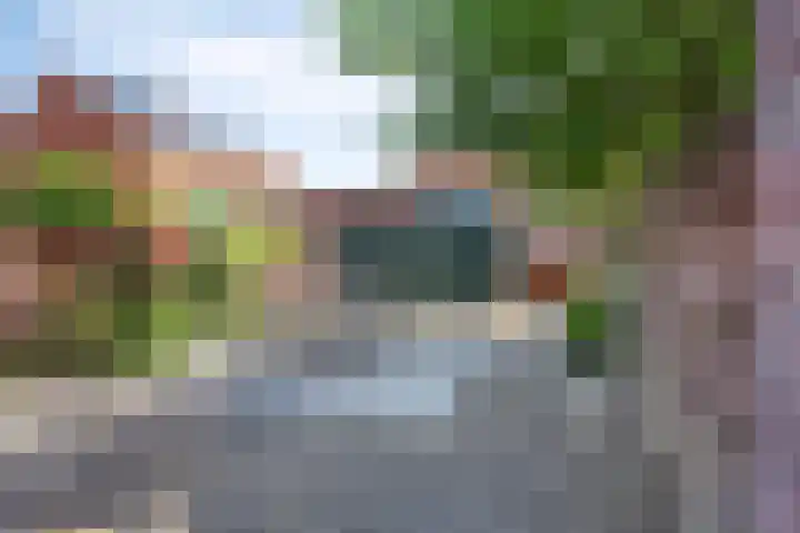 Paardenbloemsingel 61 Vleuten thumbnail 26