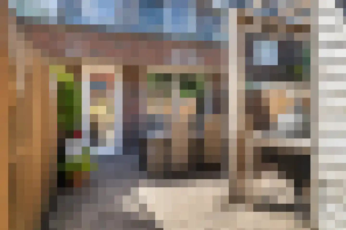 Paardenbloemsingel 66 Vleuten thumbnail 21